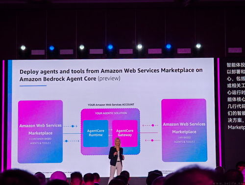 企業(yè)級(jí)軟件商店 亞馬遜云科技引領(lǐng)軟件開發(fā)新趨勢(shì)